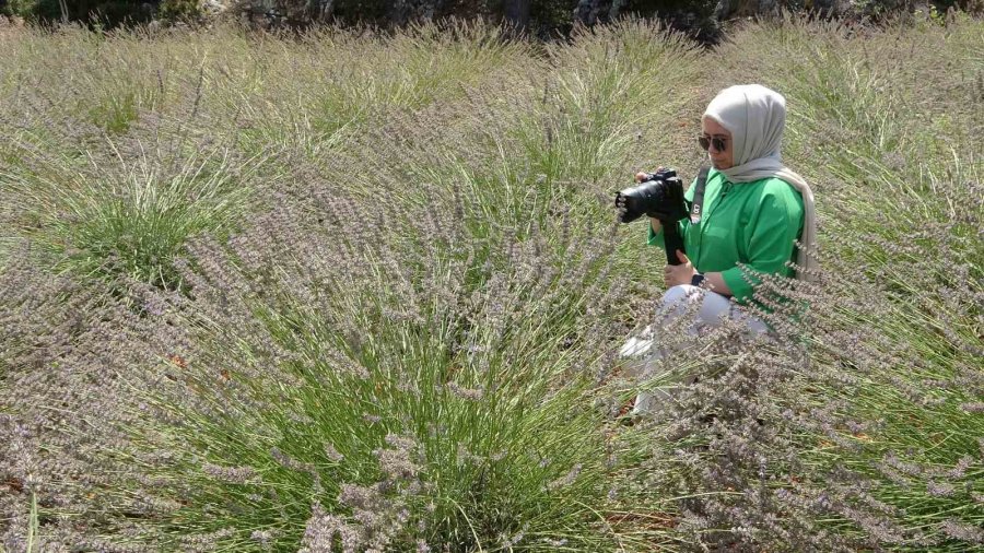 Su Kullanmadan Atıl Arazisini Gelir Kapısı Yaptı, Yetmedi Köyünü De Tanıtıyor