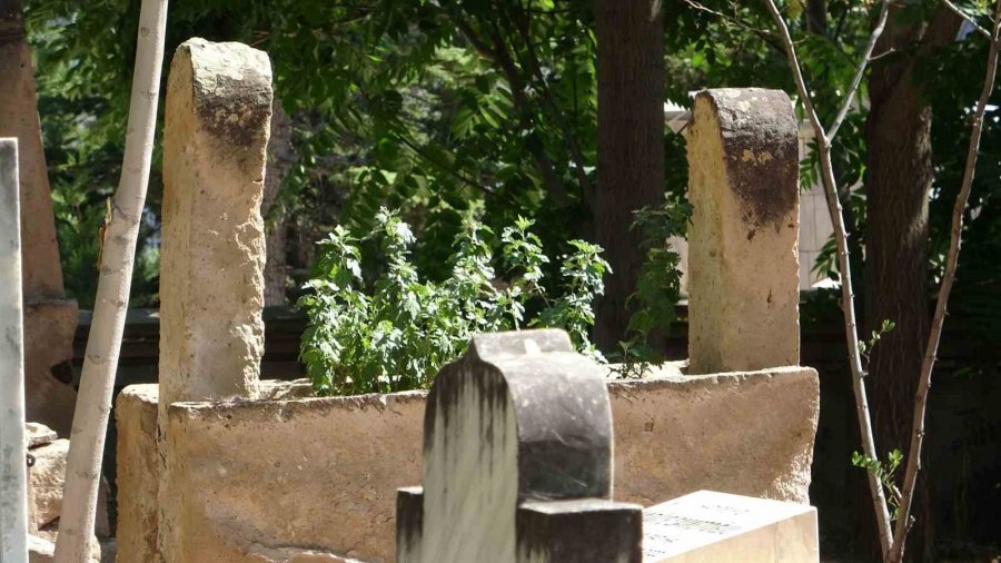 Dünyada 3 Tane, Biri Aksaray’da