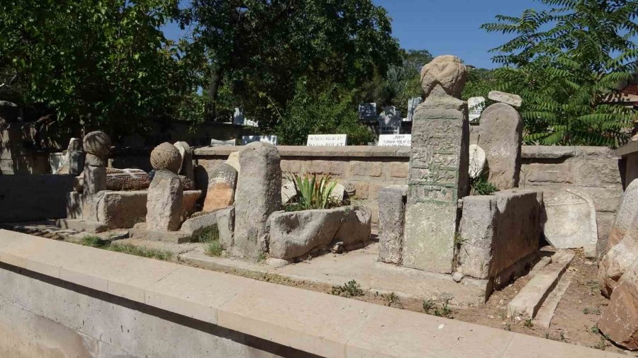 Dünyada 3 Tane, Biri Aksaray’da