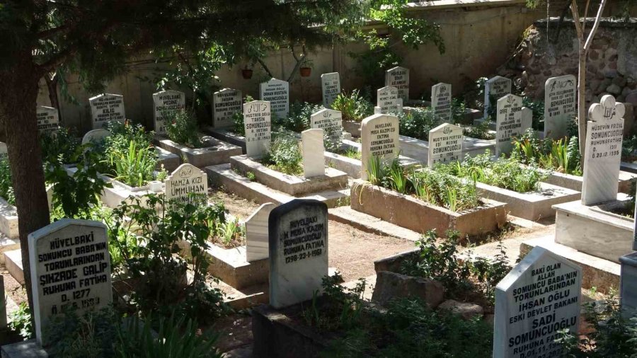 Dünyada 3 Tane, Biri Aksaray’da