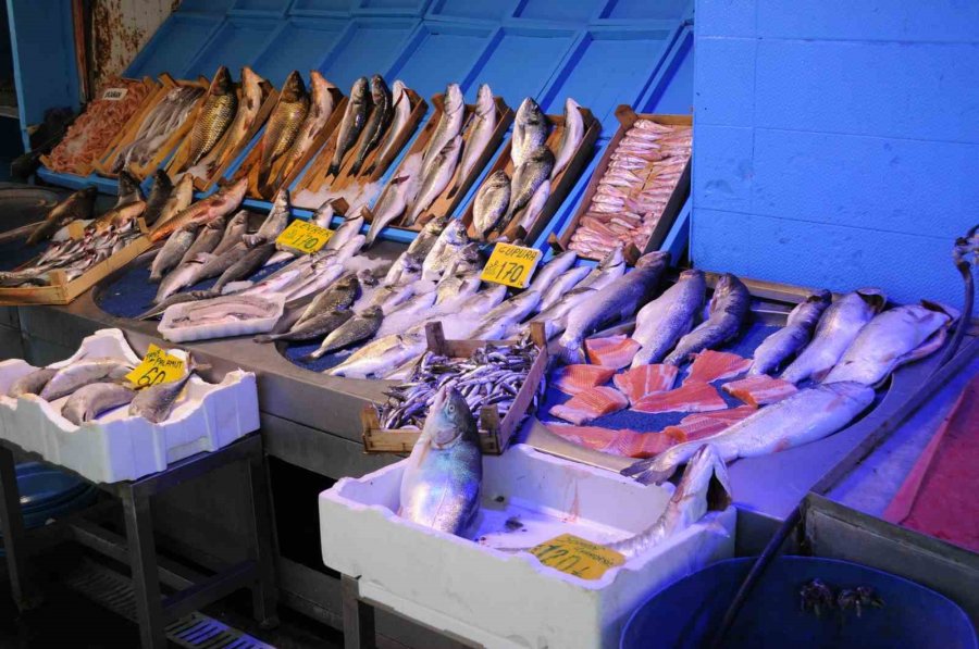 Eskişehir’deki Balıkçı Esnafı Yeni Sezona Hazırlanıyor