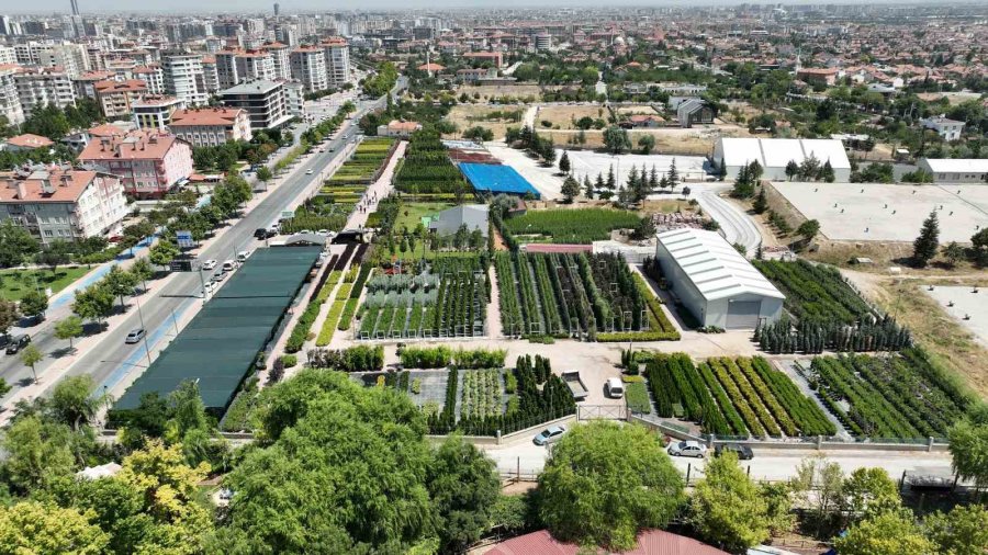 Başkan Altay: "peyzaj Konusunda Büyükşehir Belediyesi Olarak Çok Ciddi Bir Bilgi Birikimine Sahibiz"