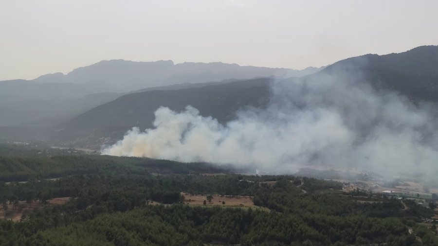 Manavgat’ta Orman Yangını