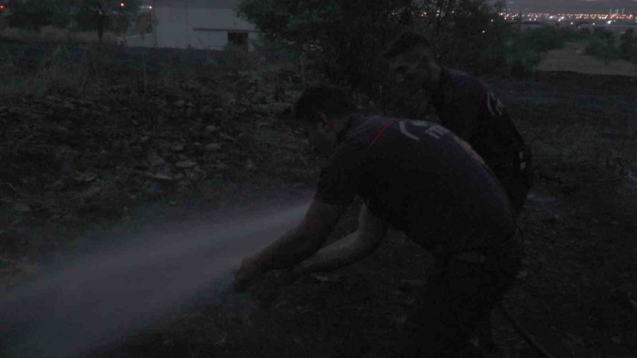 Kaplumbağayı Yanmaktan İtfaiye Kurtardı