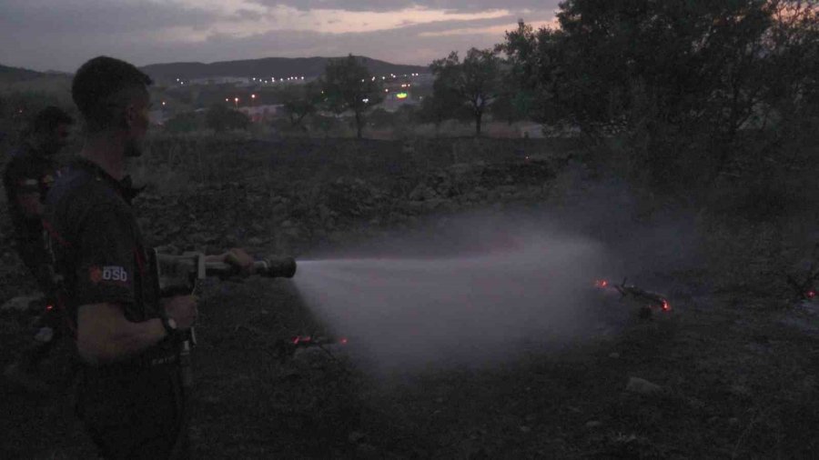 Kaplumbağayı Yanmaktan İtfaiye Kurtardı