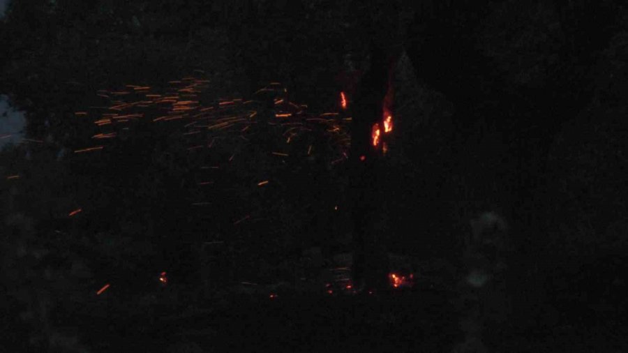 Kaplumbağayı Yanmaktan İtfaiye Kurtardı