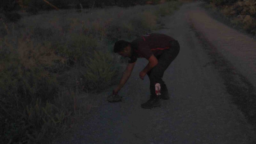 Kaplumbağayı Yanmaktan İtfaiye Kurtardı