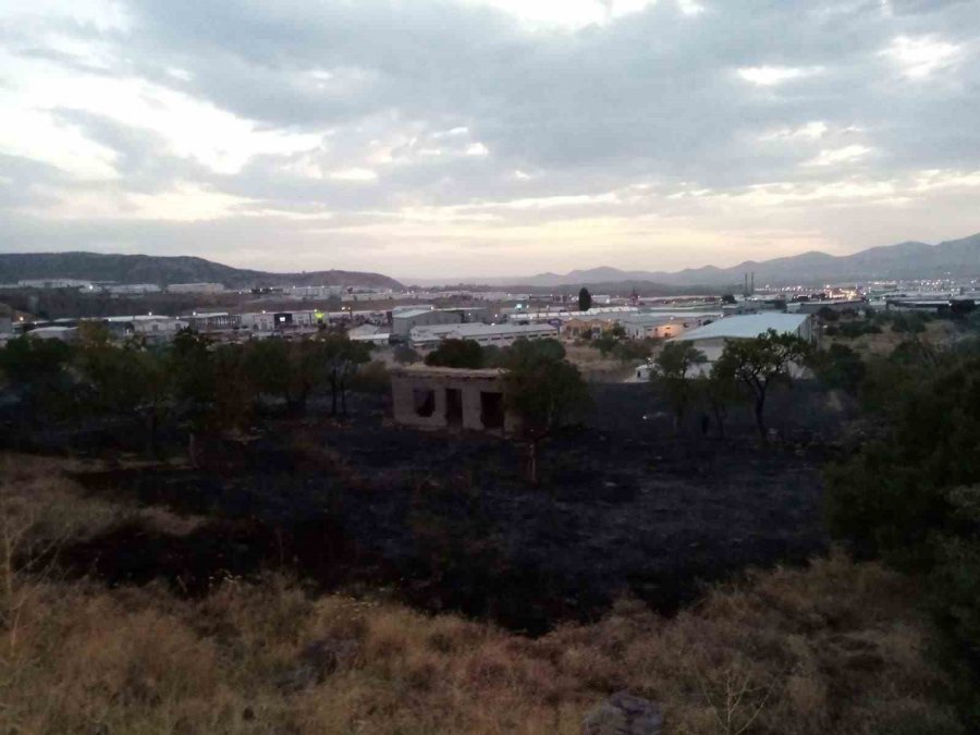 Kaplumbağayı Yanmaktan İtfaiye Kurtardı
