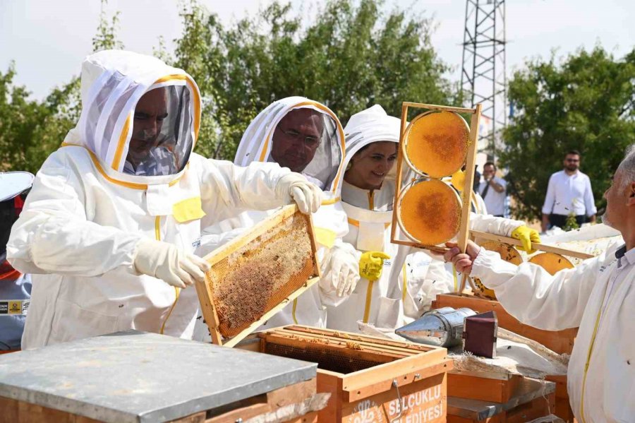 Konya’da Arılı Kovan Desteği Projesi’nde İlk Hasat Yapıldı