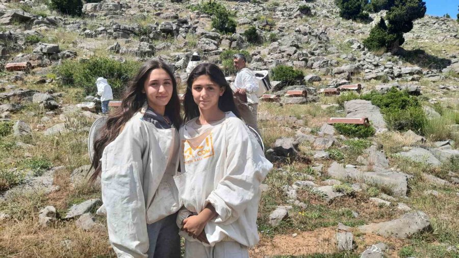 2 Bin 500 Rakımlı Yaylalarda Aile Boyu Arı Mesaisi