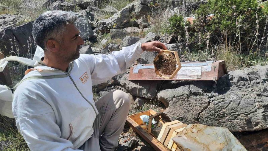 2 Bin 500 Rakımlı Yaylalarda Aile Boyu Arı Mesaisi