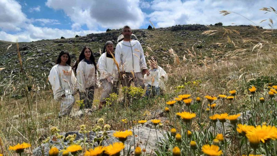 2 Bin 500 Rakımlı Yaylalarda Aile Boyu Arı Mesaisi