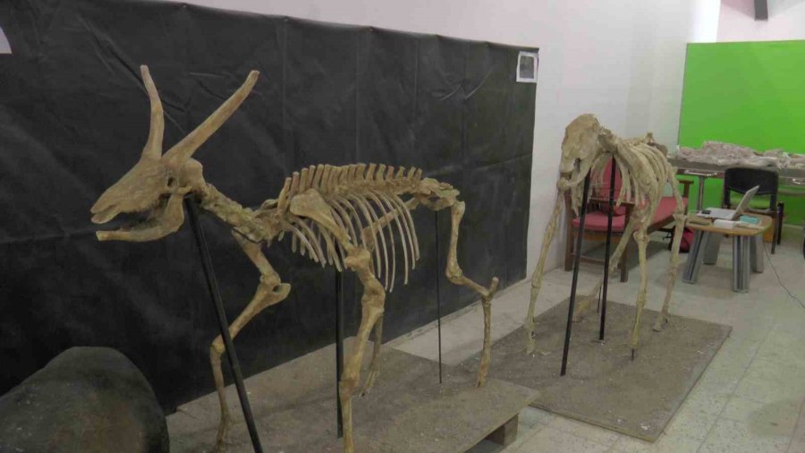 7,5 Milyon Yıl Sonra Ayaktalar