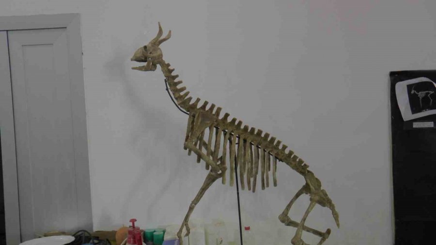 7,5 Milyon Yıl Sonra Ayaktalar