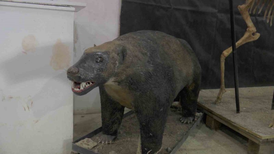 7,5 Milyon Yıl Sonra Ayaktalar