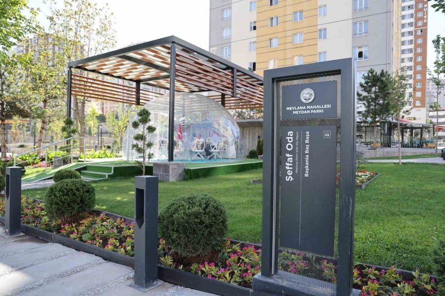 80 Hafta Şeffaf Oda