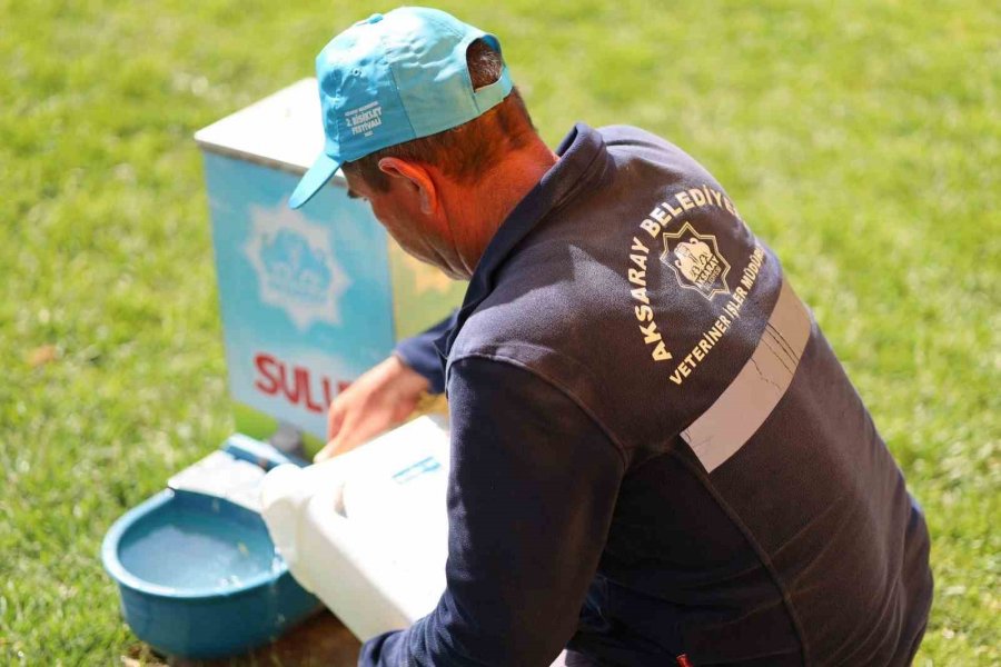 Aksaray Belediyesi Aşırı Sıcaklarda Can Dostlarını Unutmadı