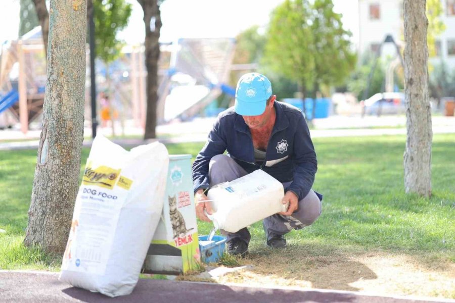 Aksaray Belediyesi Aşırı Sıcaklarda Can Dostlarını Unutmadı