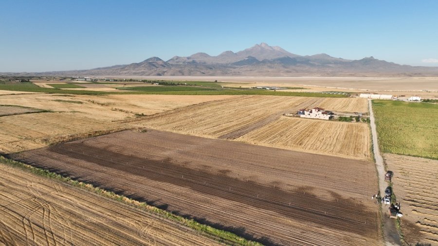 Genç Çiftçiler Erciyes’in Eteğinde Marul Üretiyor