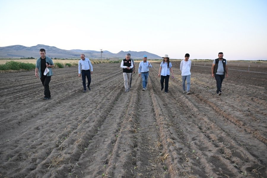 Genç Çiftçiler Erciyes’in Eteğinde Marul Üretiyor