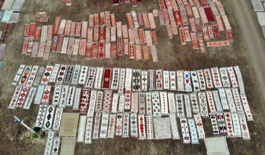 Antalya’da Tarlada Milyonluk Halı Nöbeti: Güneş Batınca Başlayıp, Doğunca Bitiriyorlar