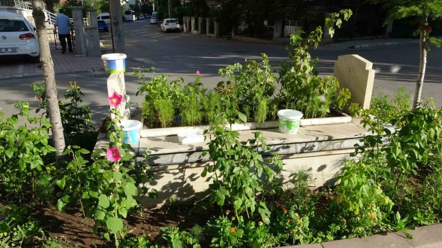 Beş Yolun Ortasındaki Mezar Birçok Rivayetle Anılıyor