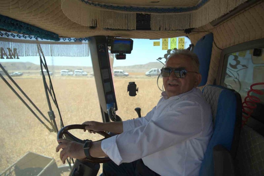 Kayseri’de Aspir Hasadı Başladı