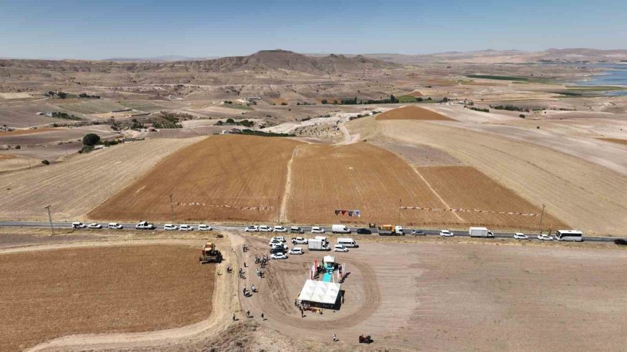 Kayseri’de Aspir Hasadı Başladı