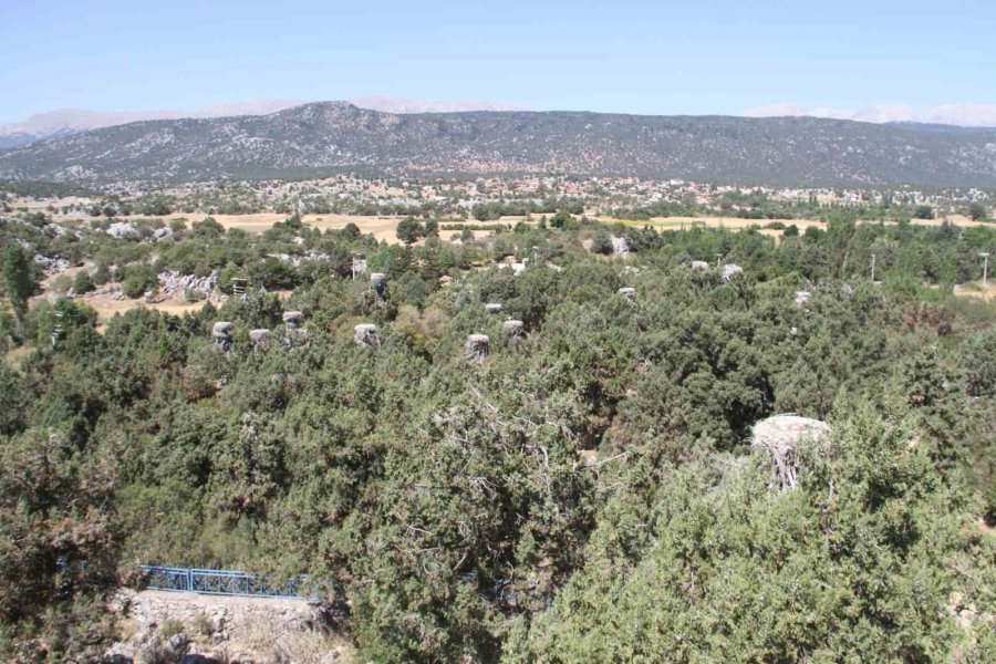 Konya’da Leyleklerin Mekanları Sessizliğe Büründü