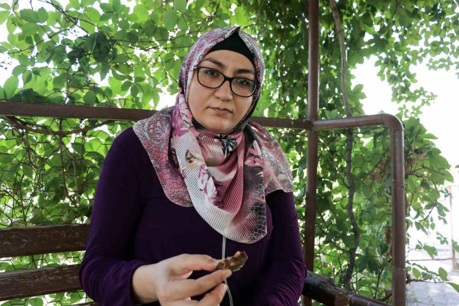 Kayseri’de Şok Olay: Aldığı Helvanın İçinden Hızma Çıktı, Yerken Dişi Kırıldı