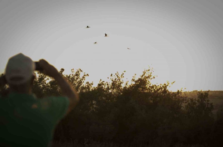 Göçmen Kuşlar, Mersin’den Afrika’ya Uğurlandı