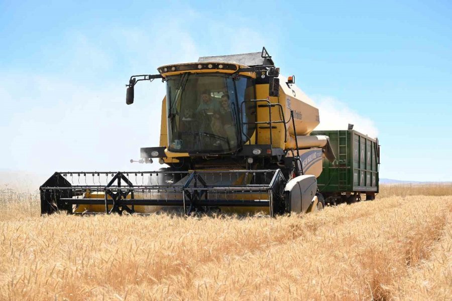 Kayseri’de Yazlık Buğday Üretimi Geleneği Sürüyor