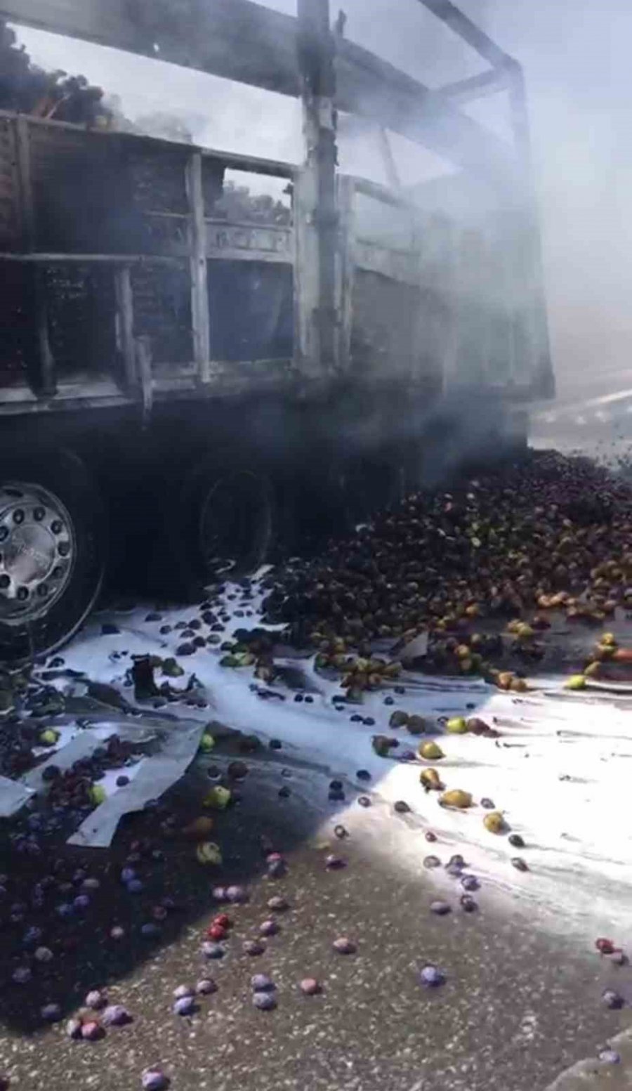 Kamyonda Çıkan Yangın Ağaçlık Alana Sıçradı