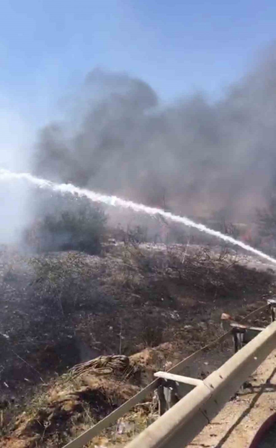 Kamyonda Çıkan Yangın Ağaçlık Alana Sıçradı