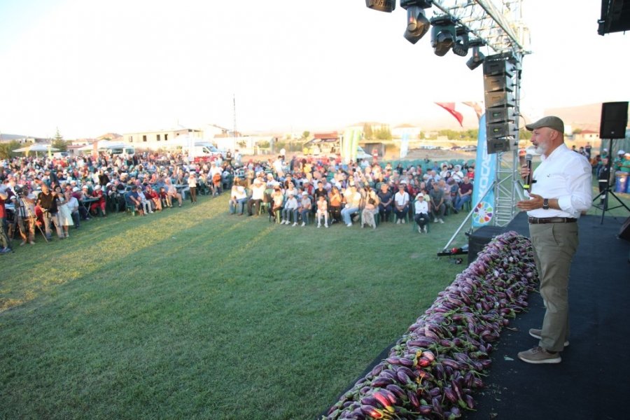 Yamula Patlıcan Festivali’ne 10 Binlerce Kişi Katıldı