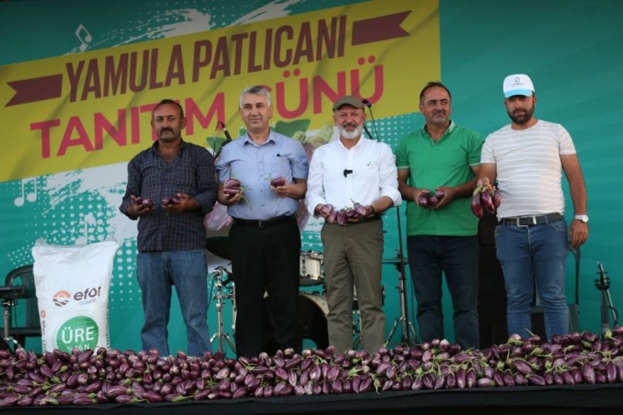 Yamula Patlıcan Festivali’ne 10 Binlerce Kişi Katıldı