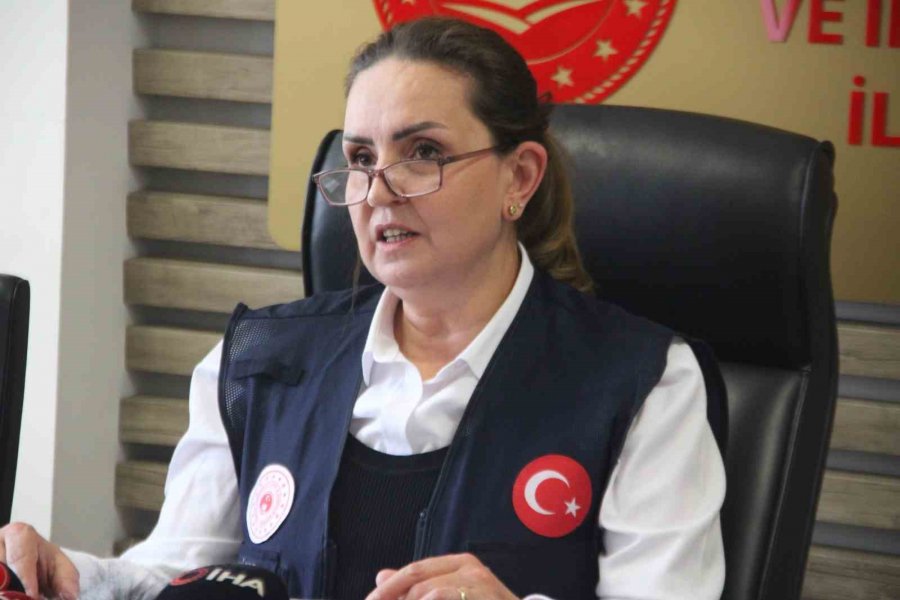 Aynı Taşıyıcı Sistemdeki Binalarda Hasar Durumu Yüksek Olana Göre İşlem Yapılacak