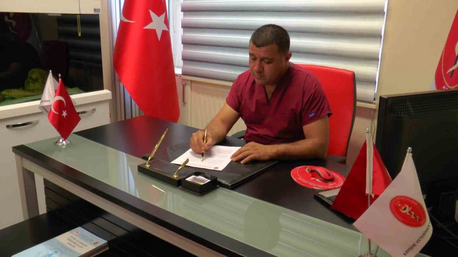 Sarıhummada Çözüm Aşı