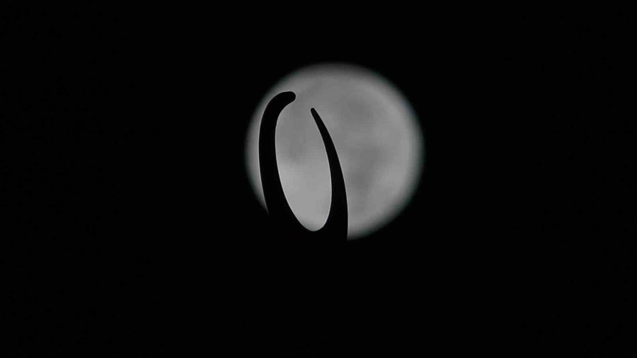 Konya’da ‘süper Mavi Ay’ Görsel Şölen Oluşturdu