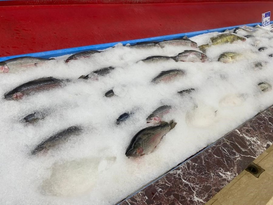 Balıkçılar Yeni Sezondan Umutlu