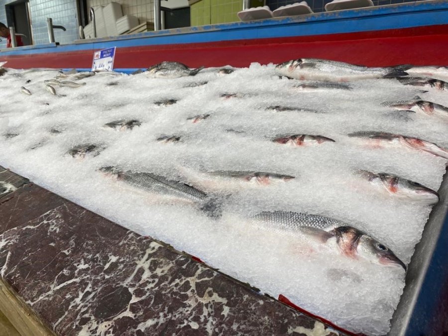 Balıkçılar Yeni Sezondan Umutlu