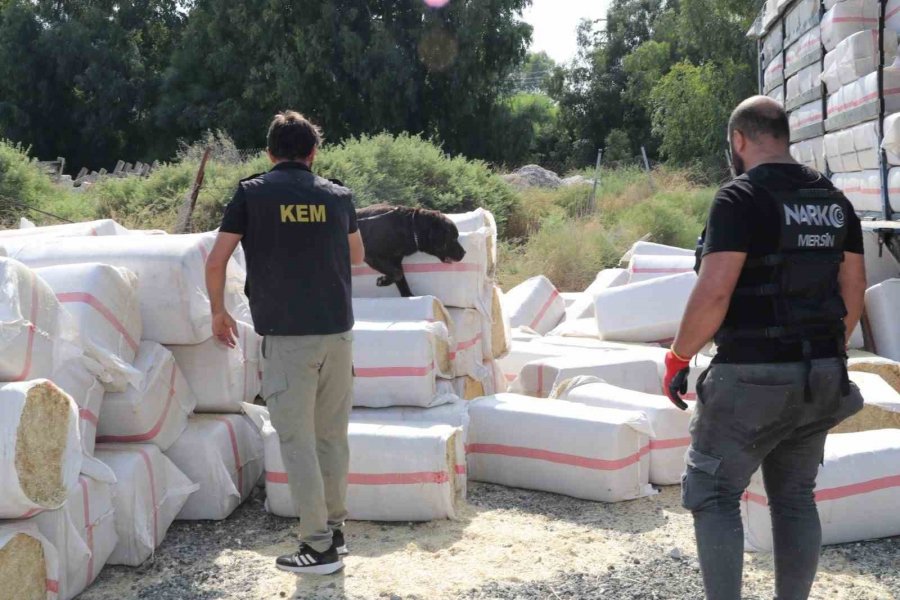 Saman Balyalarının Arasından 279 Kilo Uyuşturucu Çıktı