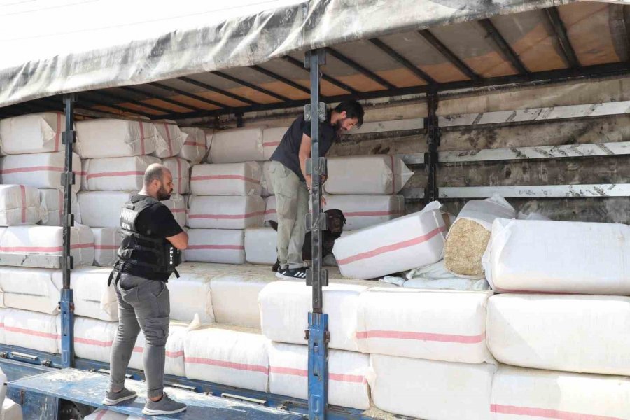 Saman Balyalarının Arasından 279 Kilo Uyuşturucu Çıktı