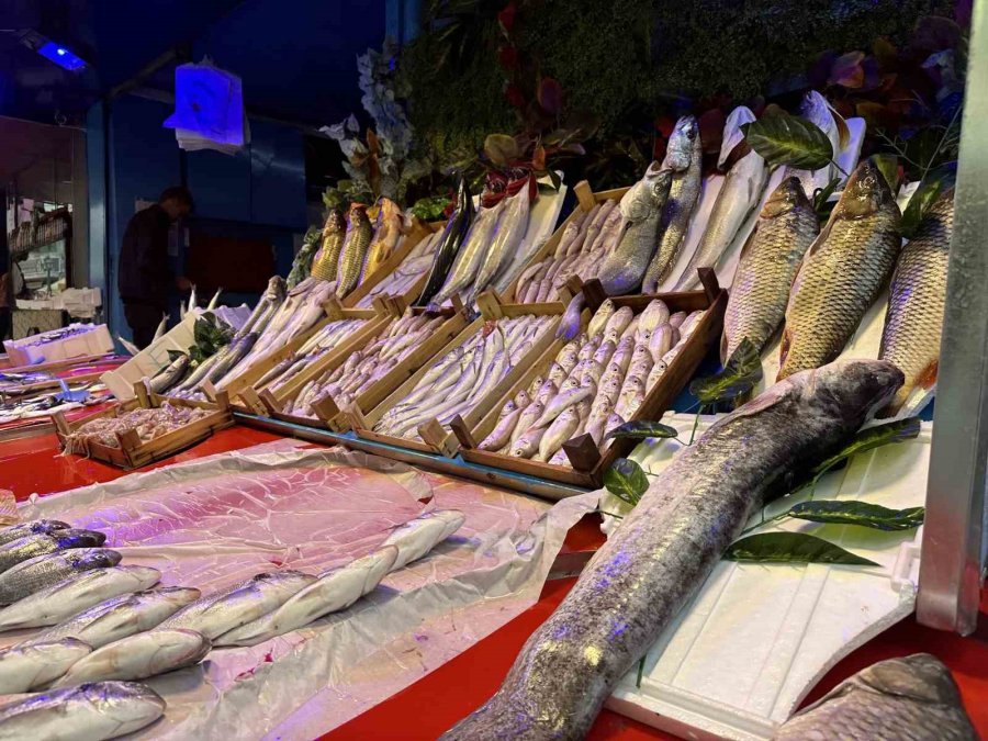 Balık Sezonu Açıldı Tezgahlar Renklenmeye Başladı