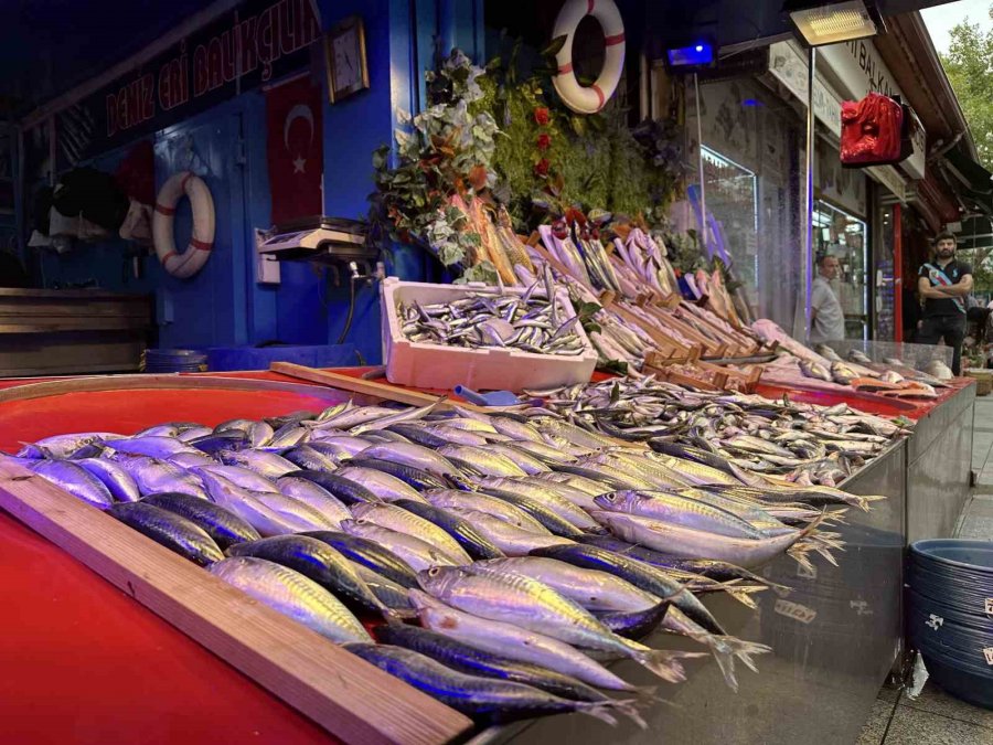 Balık Sezonu Açıldı Tezgahlar Renklenmeye Başladı
