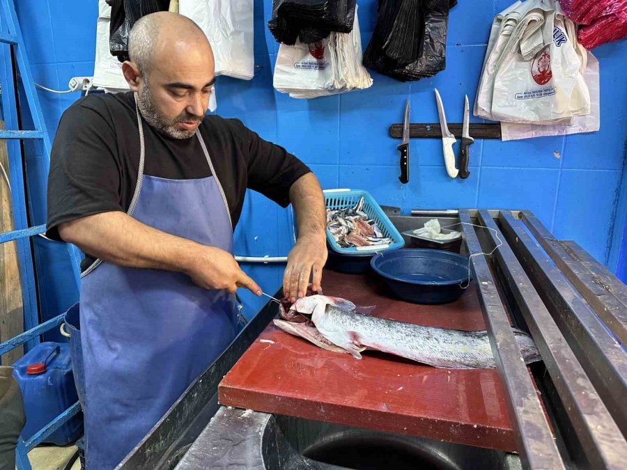 Balık Sezonu Açıldı Tezgahlar Renklenmeye Başladı