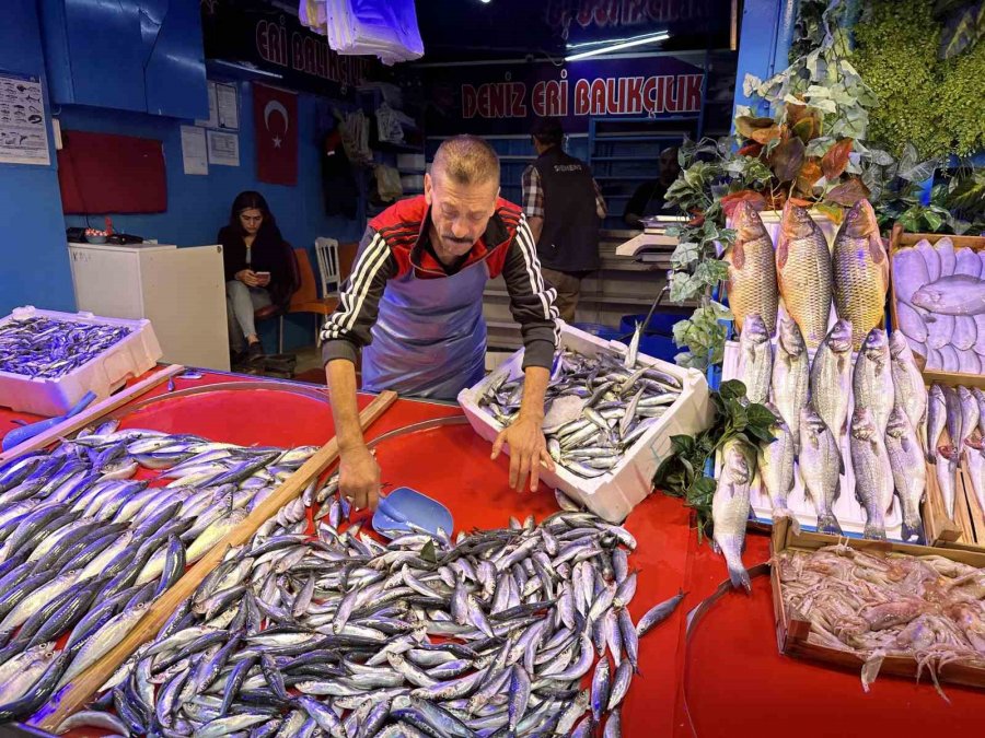 Balık Sezonu Açıldı Tezgahlar Renklenmeye Başladı