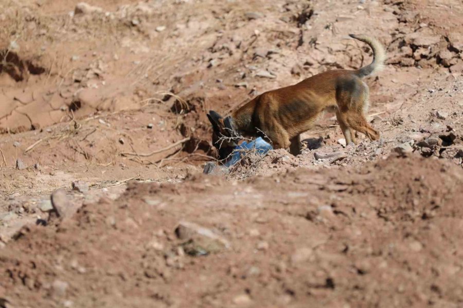 Selde Kaybolan Asel Bebek Özel Eğitimli Köpekler İle Aranıyor