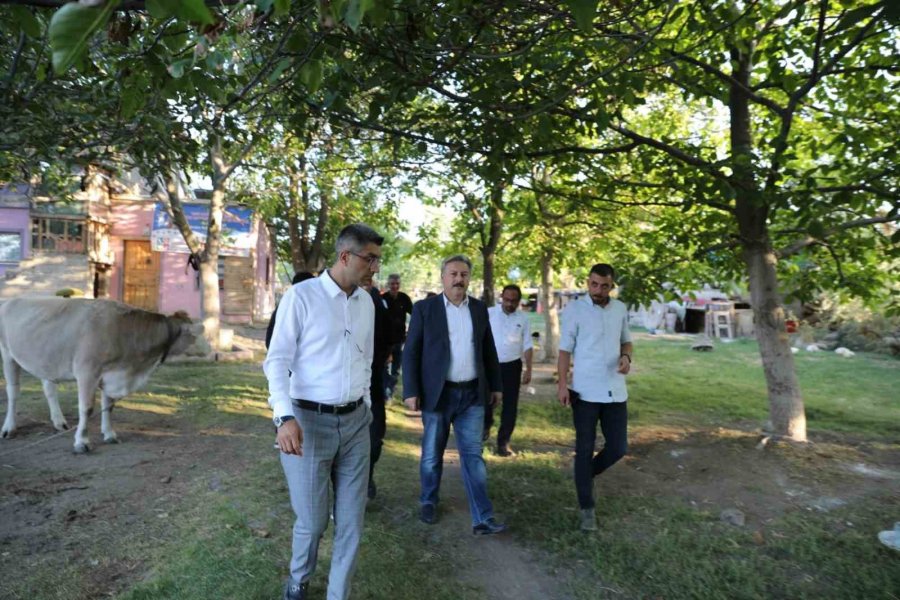 Melikgazi’den Sokak Hayvanlarına Destek