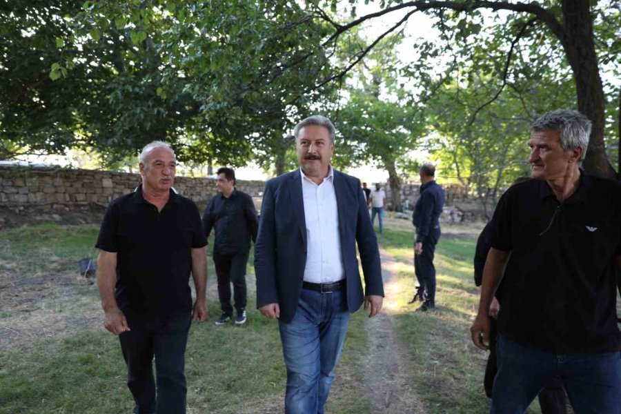 Melikgazi’den Sokak Hayvanlarına Destek